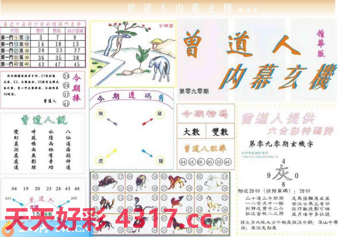 曾道道人论坛网站1339未来展望,决策支持方案_OTF10.567个人版