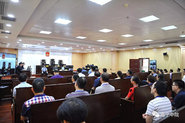 广西教委最新动态更新,权威消息发布