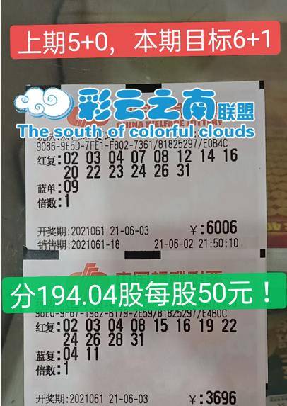 双色球最新号码指南，初学者与进阶用户双色球选号步骤详解