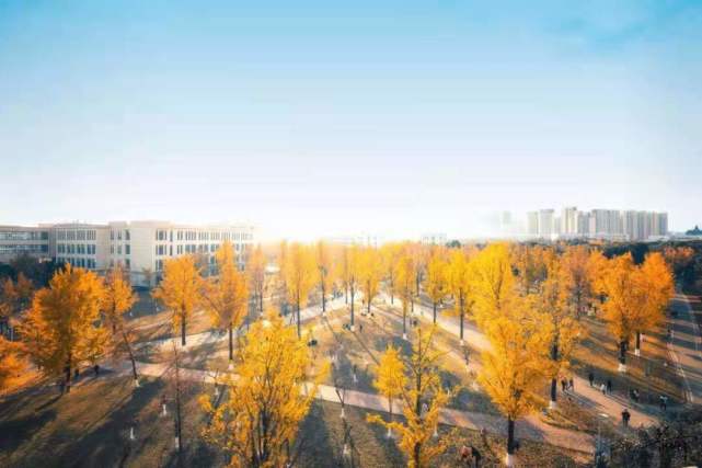 新奥彩资料免费提供澳门,科学解释分析_KGN10.314原汁原味版