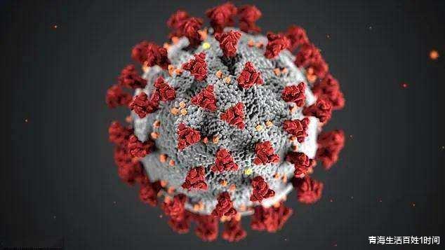 保加利亚病毒最新动态更新