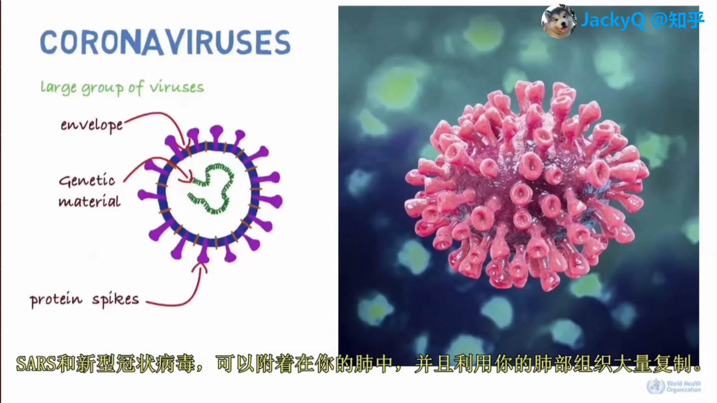 保加利亚病毒最新动态更新