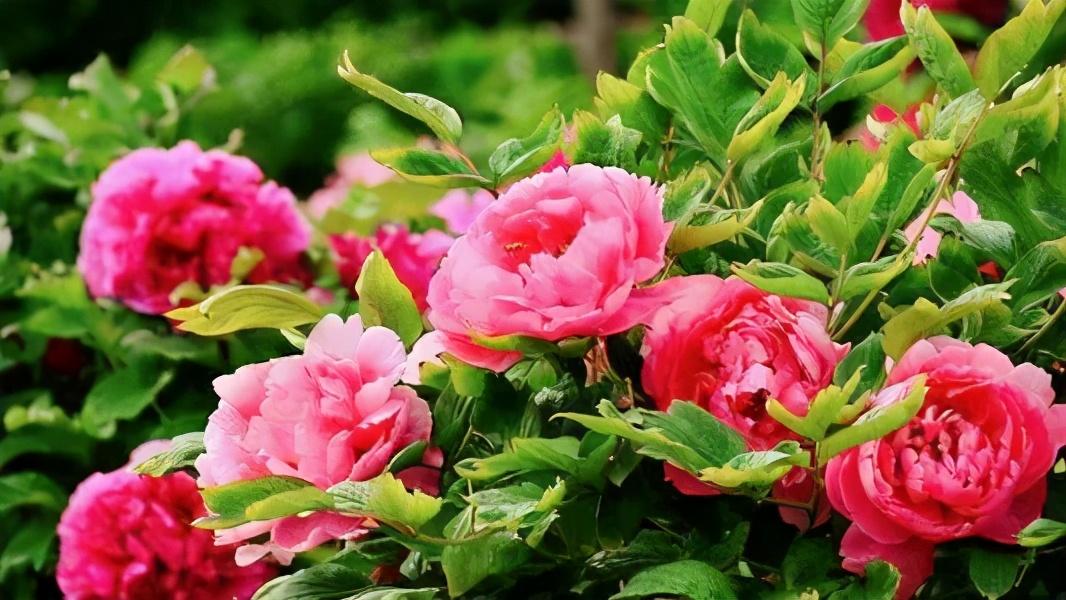 电影城最新上映影片,视觉盛宴,不容错过!