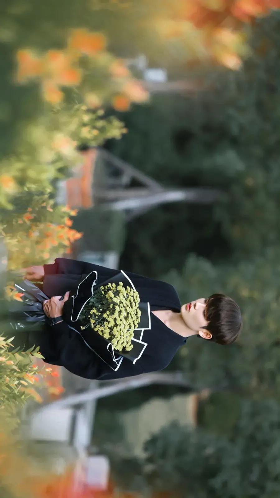 林彦俊万鹏最新动态深度解析