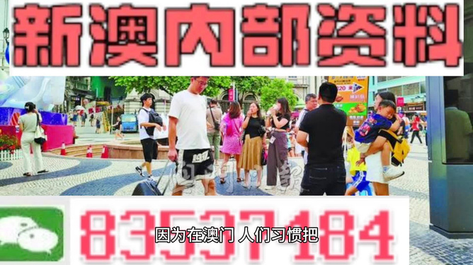 2024年新澳门精准免费大全-免费完整资料,数据解析引导_CNB10.388活力版