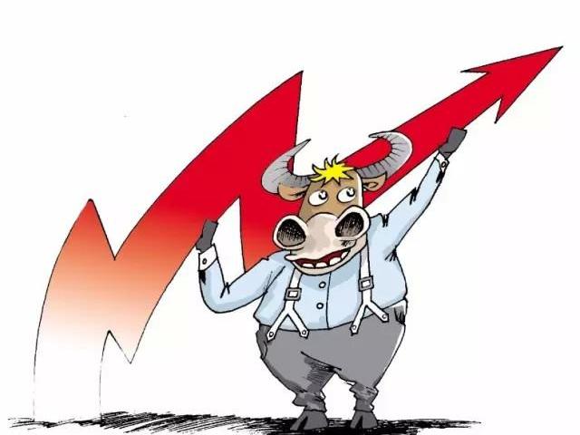 紫牛最新动态及观点论述揭秘