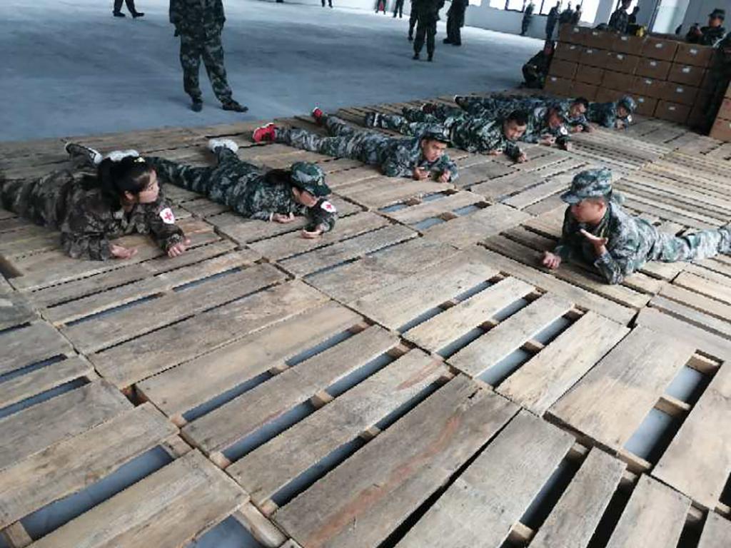 三省最新动态,任务完成与技能学习详细步骤指南