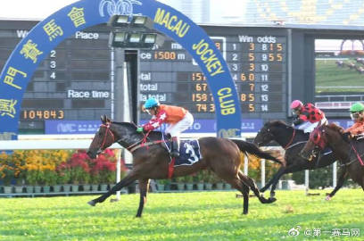 马会传真资料2024澳门,连贯性方法执行评估_BNH10.754超级版