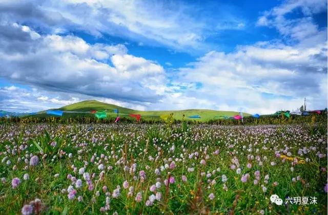 云顶之弈强势阵容最新揭秘，小巷隐秘强者崛起