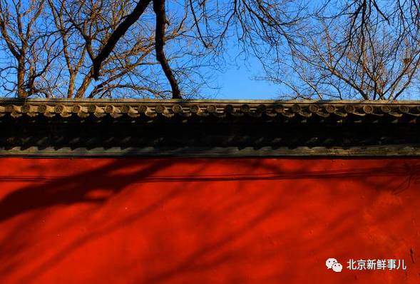 揭秘红墙最新动态,背后的故事一网打尽