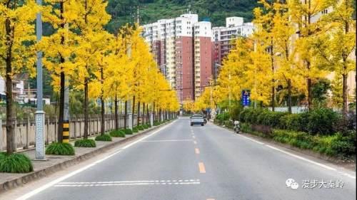 嫦娥五号最新动态,探索自然美景的心灵之旅。