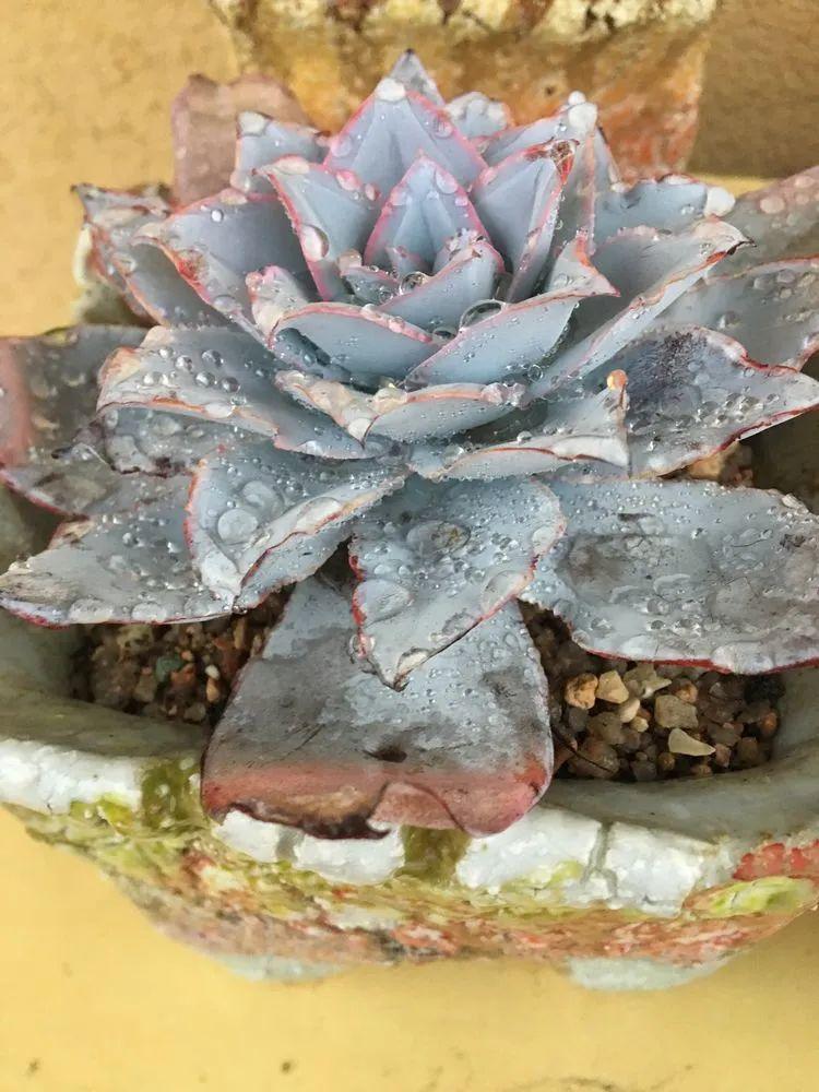 嫦娥五号最新动态,探索自然美景的心灵之旅。