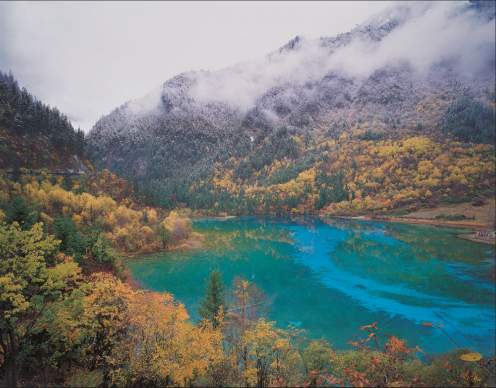 四川蒋天宝最新,自然美景探索之旅