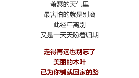 叶绾绾最新章节,叶绾绾最新章节，蜕变之路，自信与成就感的源泉