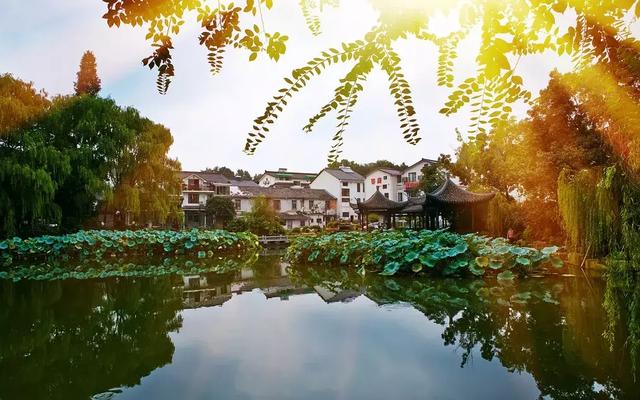 花间最新版下载，数字时代的友情花园与温馨邂逅