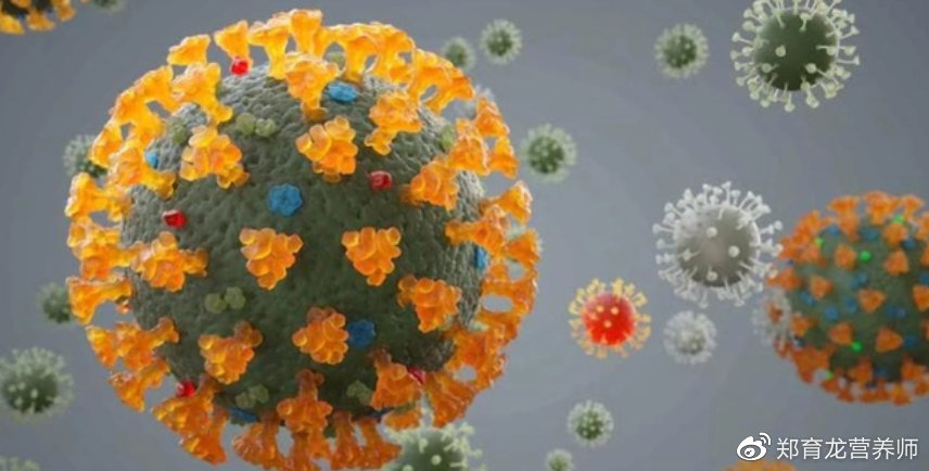 最新新型罐装病毒，背景、影响与时代地位探究