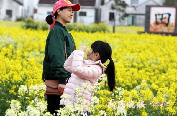 全国疫情防控最新通告,戴口罩共探自然之美