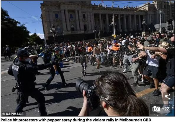 澳大利亚疫情最新播报,巷弄深处的抗疫故事与隐藏美食揭秘