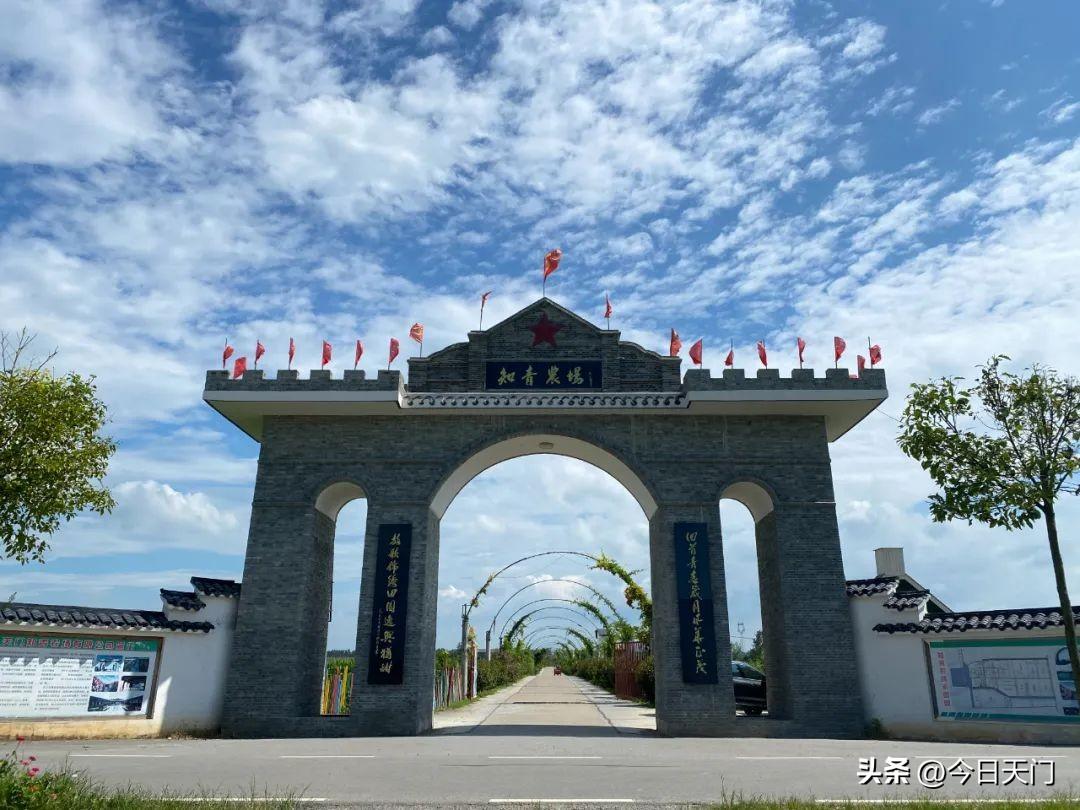 天门老师撞学生事件最新通报，自然之旅中的启示与反思