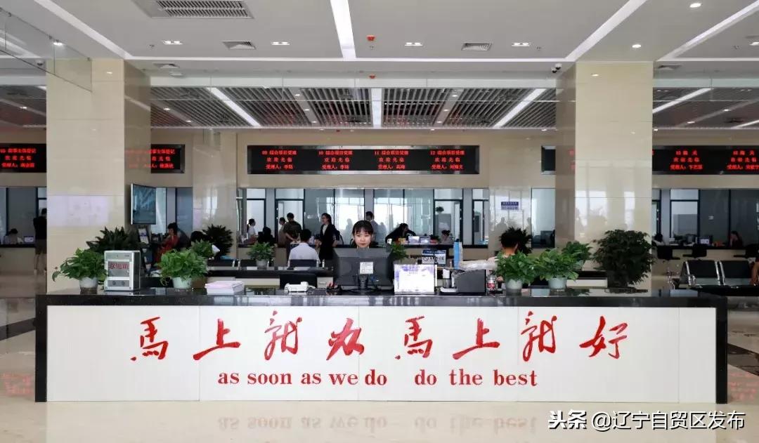 辽宁营商环境最新案例深度解析,影响与观点阐述