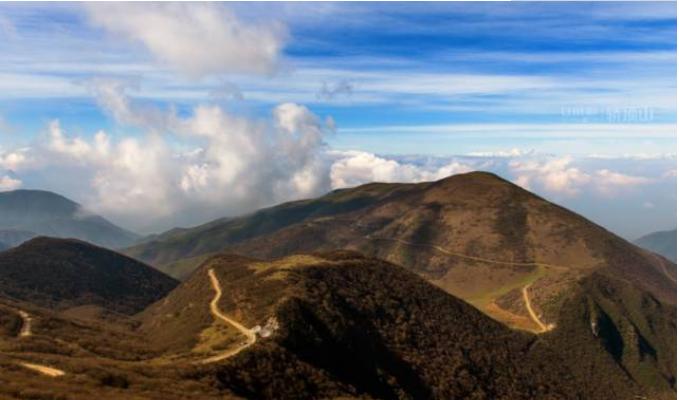 成都女孩疫情最新情况,成都女孩疫情最新情况🌺🌸