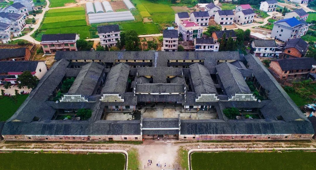 选举最新进展与巷弄深处的独特小店揭秘