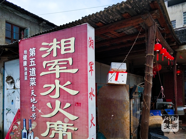 选举最新进展与巷弄深处的独特小店揭秘