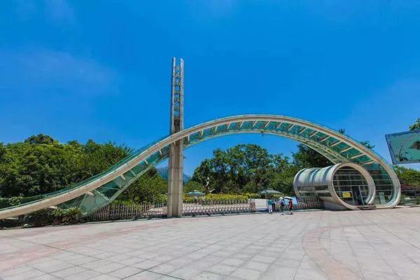 重庆南山植物园探秘,自然美景的心灵之旅