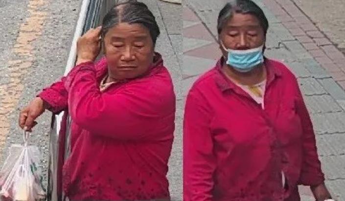 小脑萎缩最新治疗进展,观点阐述与探讨的探讨及进展更新