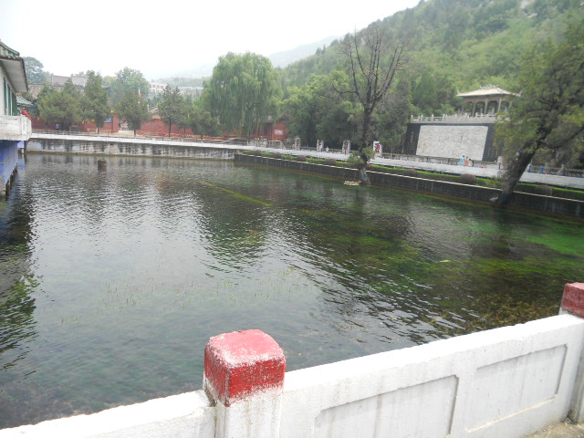 霍泉最新动态，泉水边的温馨日常。