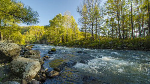 浏览器最新版,轻松探索自然美景的旅程