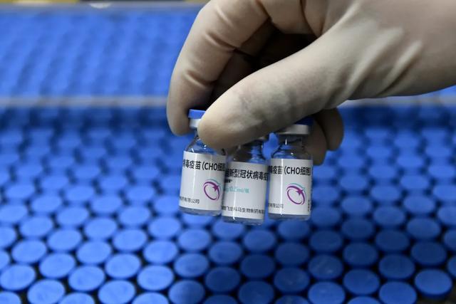 2024正版今晚开特马,生物与医药_ITP94.770机动版