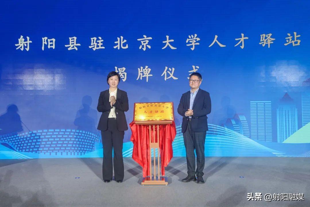 射阳今日最新招聘信息概览