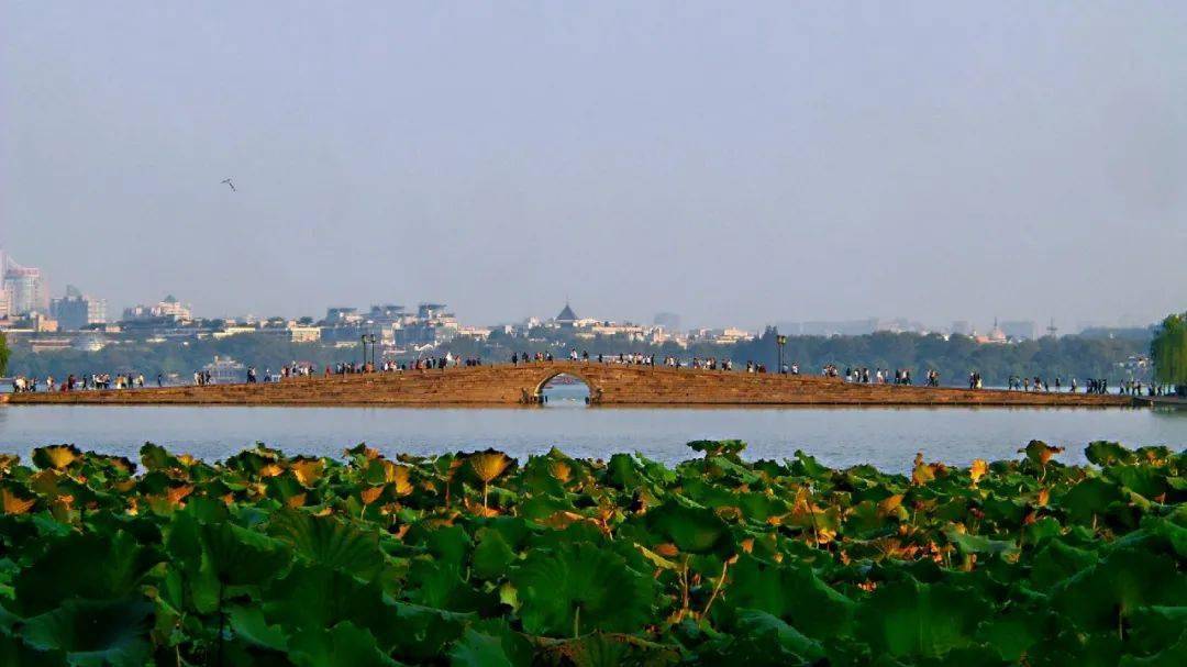 LED显示屏厂家 第711页