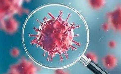 疫情下的自然探索之旅