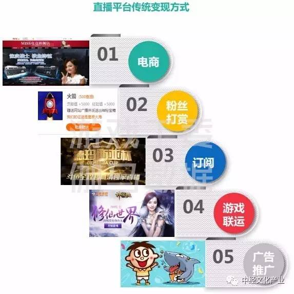 二四六天天彩资料大全直播,数据详解说明_EAR83.288拍照版