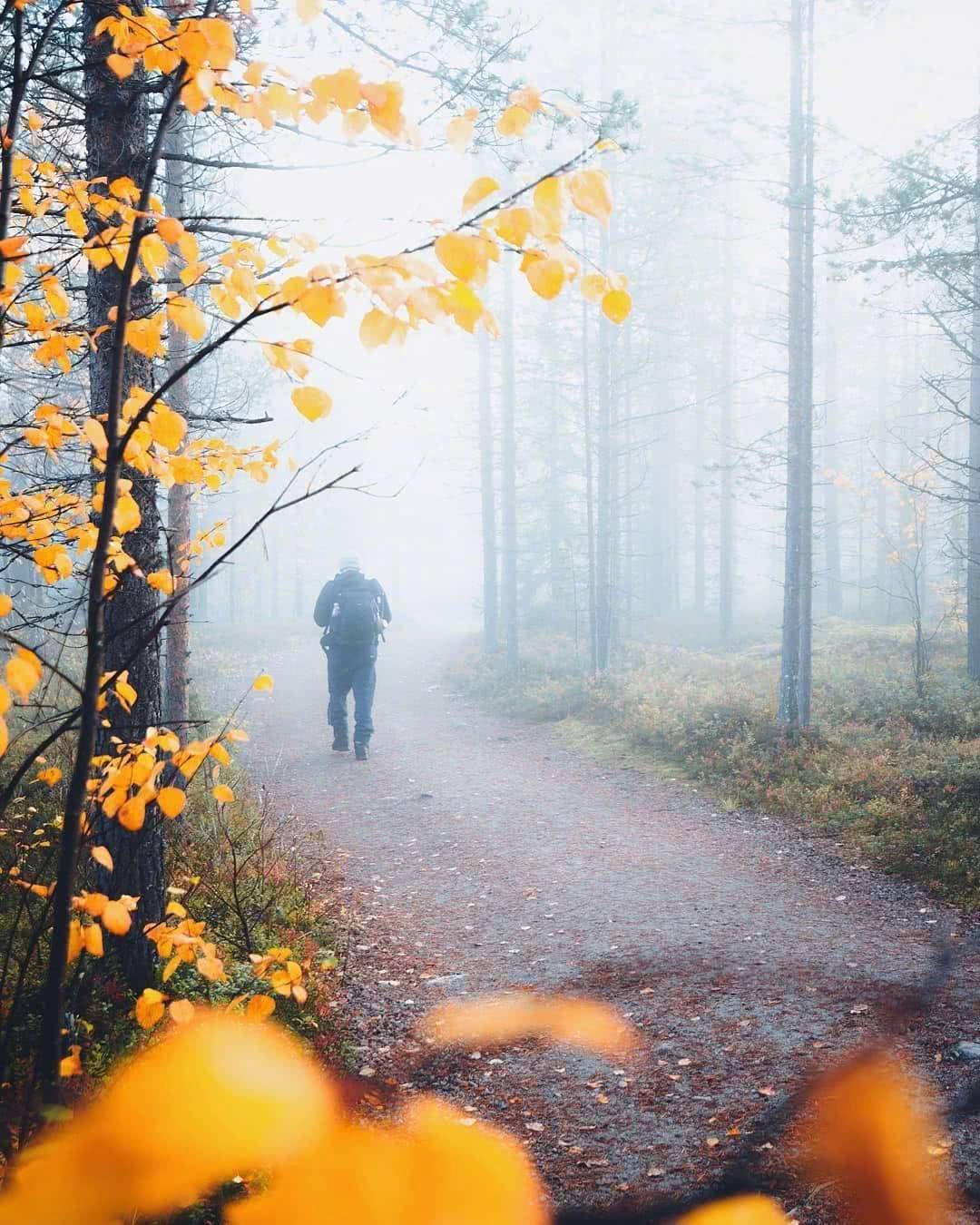 看香港正版精准特马资料,社会责任实施_XVY83.776星耀版