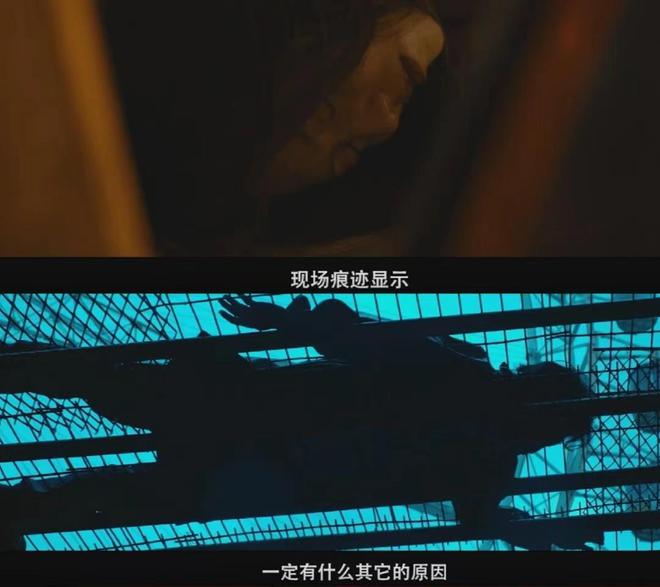 国产悬疑犯罪电影最新进展及其社会影响，一种深度观点分析