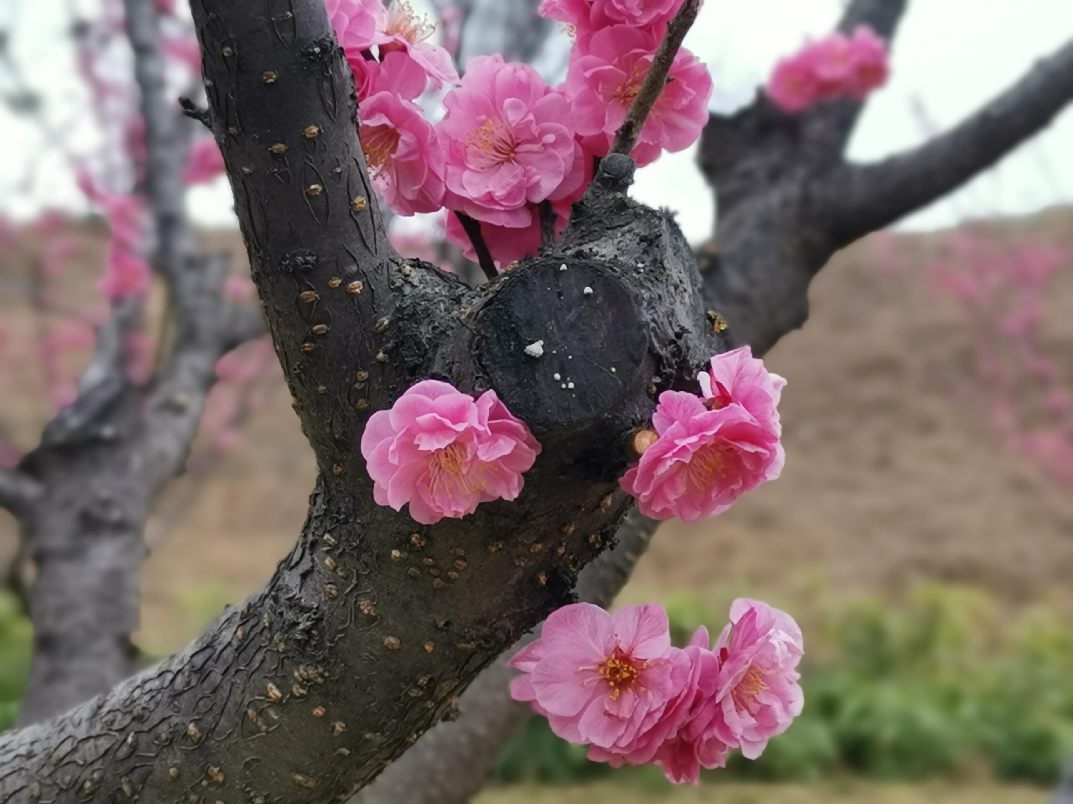 西安城北房价最新动态,西安城北房价最新动态,解读市场趋势与影响因素