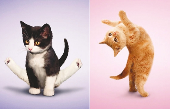 快猫最新版成人涉黄问题的深度探讨与观点论述