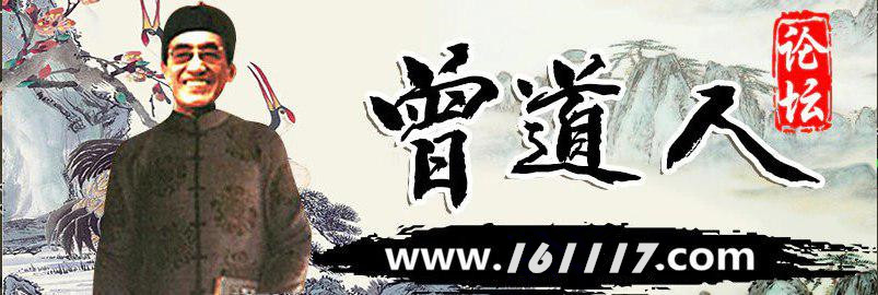 曾道道人论坛网站1339未来展望,深入探讨方案策略_SSS85.339光辉版