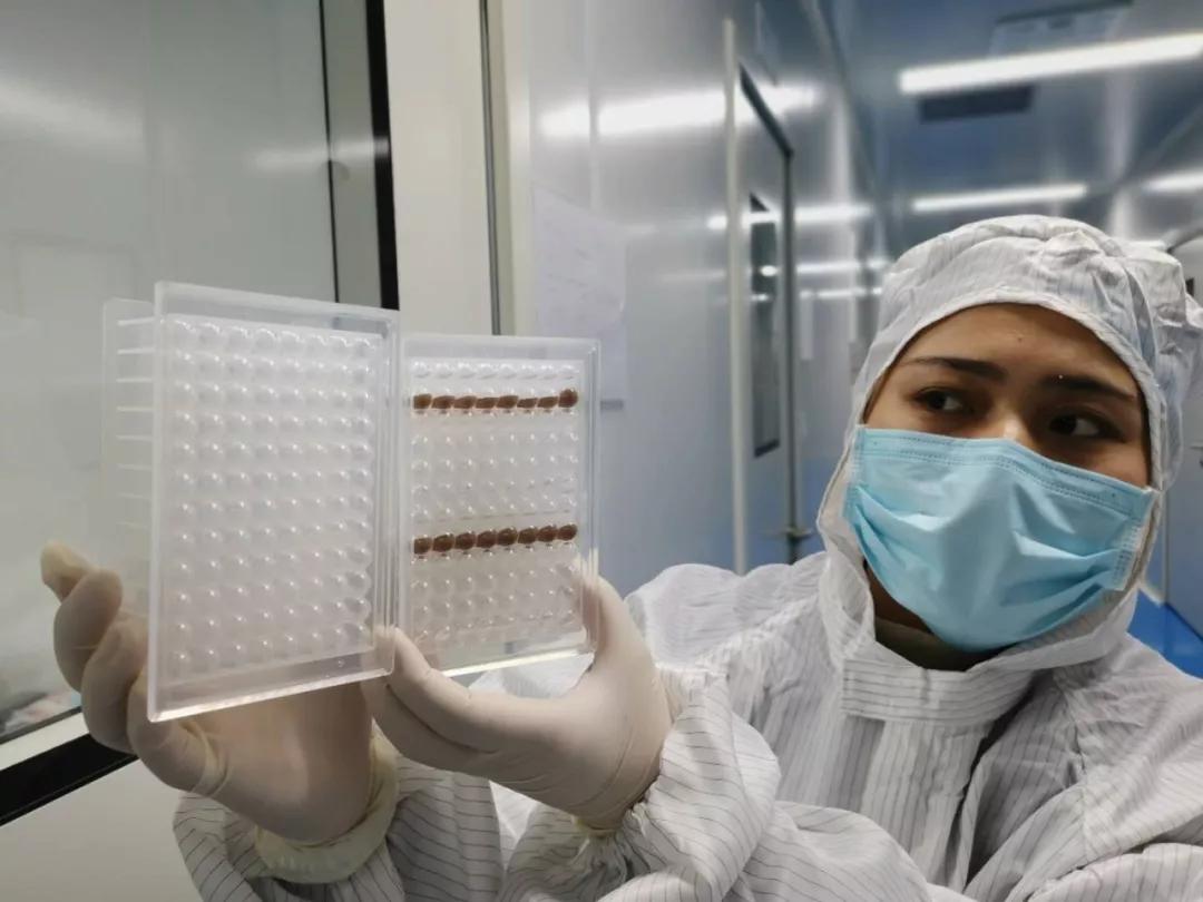 新冠病毒最新药物研发进展及希望之光概述