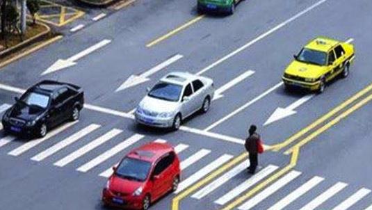 礼让行人最新事件及其观点论述深度解析