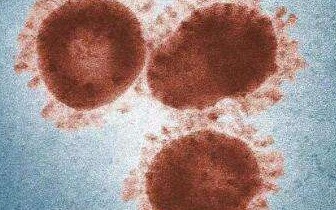 新型冠壮病毒最新动态更新概况