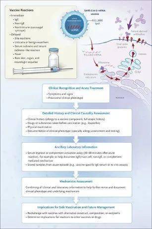 新澳最新最快资料新澳六十期,实证分析详细枕_NBT85.890瞬间版