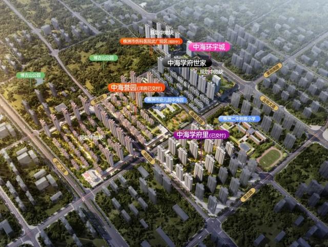 株洲中海国际社区的巷弄美食秘境探索最新动态