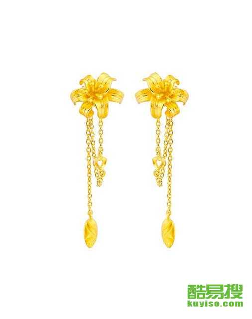 中国黄金耳饰最新款,时尚与文化的完美融合风采闪耀耳畔