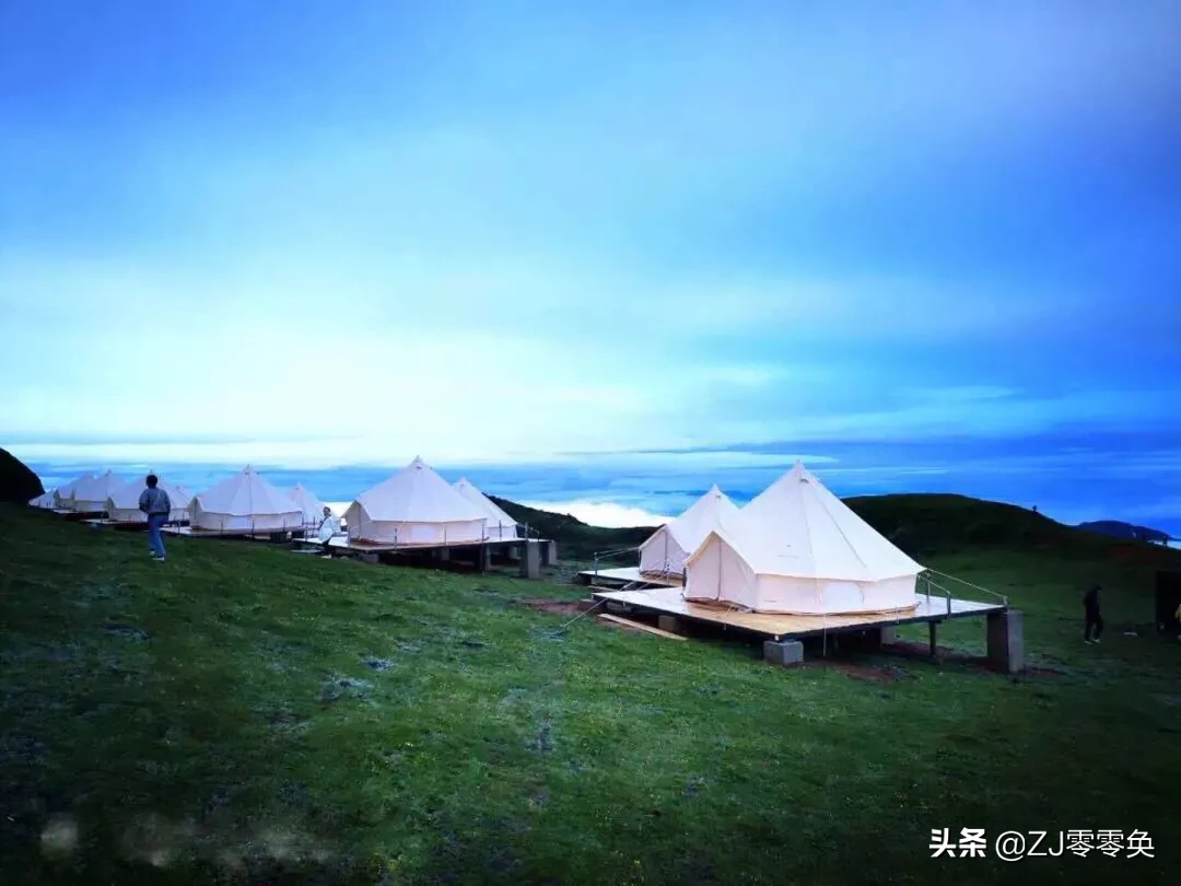 雅安轿顶山露营，体验自然魅力的绝佳去处最新报道