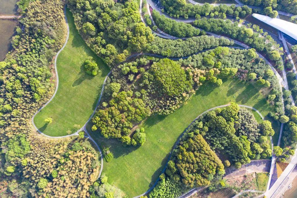 汀兰湖最新房价探索,自然美景之旅与内心宁静的追寻