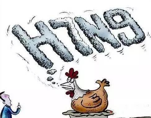 美国疫情最新发现及其背后的温馨日常故事